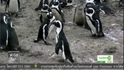 1470