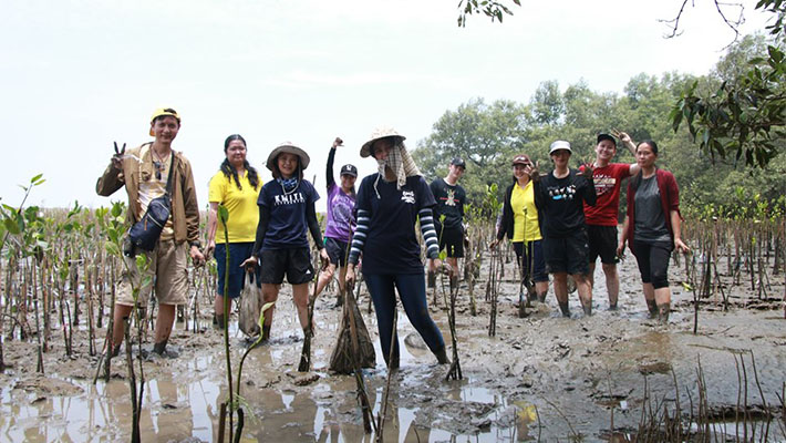 %E0%B8%9B%E0%B8%A5%E0%B8%B9%E0%B8%81