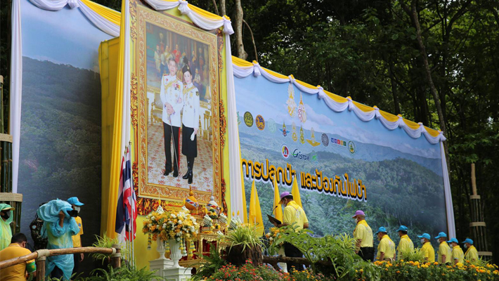 %E0%B9%82%E0%B8%84%E0%B8%A3%E0%B8%87%E0%B8%81%E0%B8%B2%E0%B8%A3%E0%B8%9B%E0%B8%A5%E0%B8%B9%E0%B8%81%E0%B8%9B%E0%B9%88%E0%B8%B2%20%E0%B9%81%E0%B8%A5%E0%B8%B0%E0%B8%9B%E0%B9%89%E0%B8%AD%E0%B8%87%E0%B8%81%E0%B8%B1%E0%B8%99%E0%B9%84%E0%B8%9F%E0%B8%9B%E0%B9%88%E0%B8%B2_1